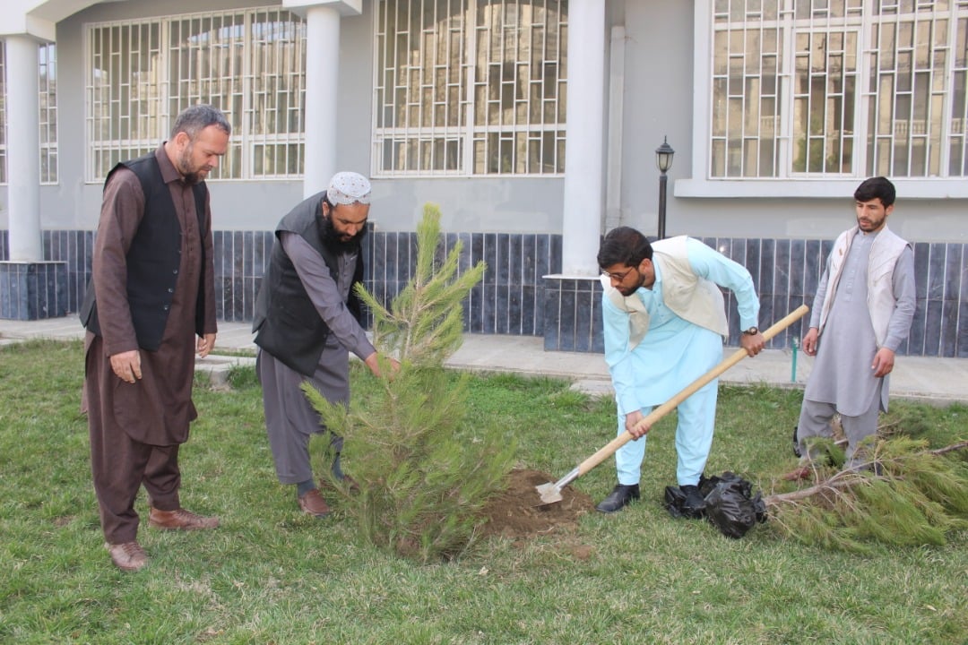 کمپاین نهال شانی در پوهنتون علوم طبی کابل