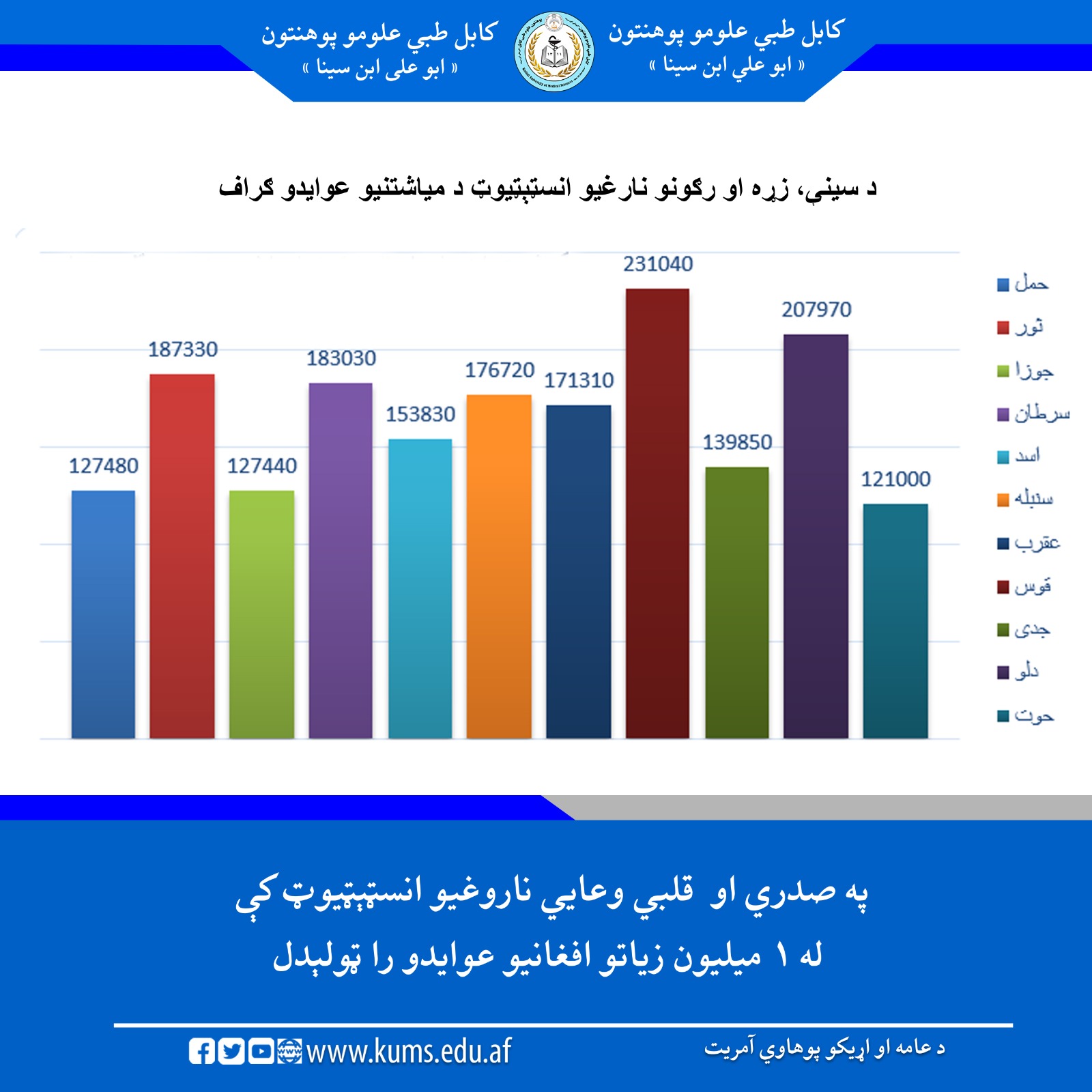 د کابل طبي علومو پوهنتون «ابو علي ابن سینا» اړوند سینې، زړه او رګونو ناروغیو انسټېټیوټ له لوري په ۱۴۰۴ کال کې د روغتیايي خدماتو وړاندې کېدو له امله ۱ میلیون او ۹۹۲ زره افغانۍ عواید را ټول شوي دي.